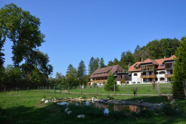 Ferienwohnung im Schwarzwald mit Balkon und Gartennutzung